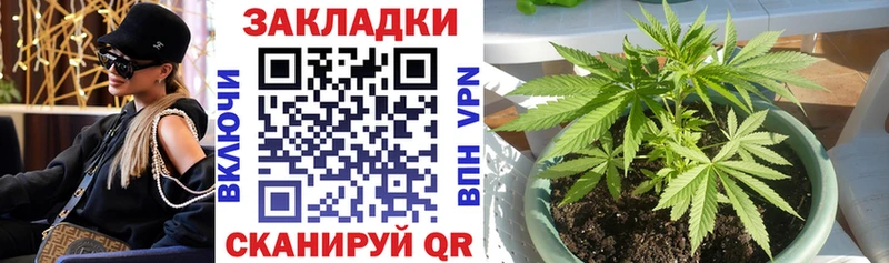 Как найти наркотики Вологда МЕГА tor  COCAIN  ГАШ  МАРИХУАНА  LSD-25 