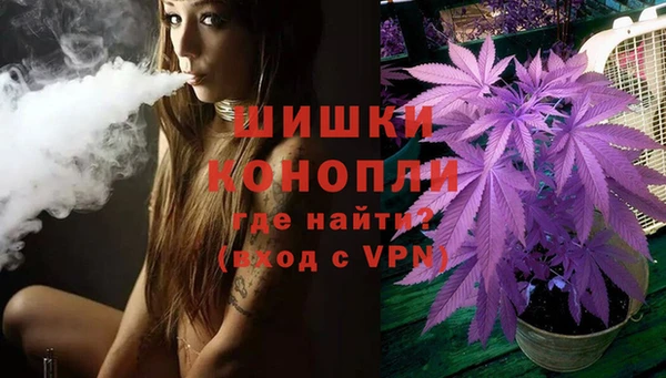соль ск Дмитровск