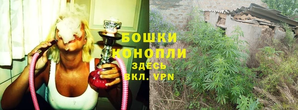 ALPHA PVP Дмитриев