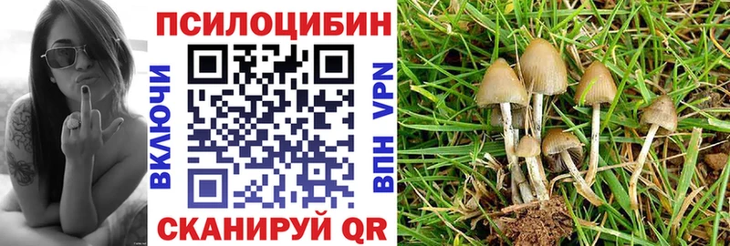Псилоцибиновые грибы прущие грибы  даркнет наркотические препараты  Вологда  где продают  